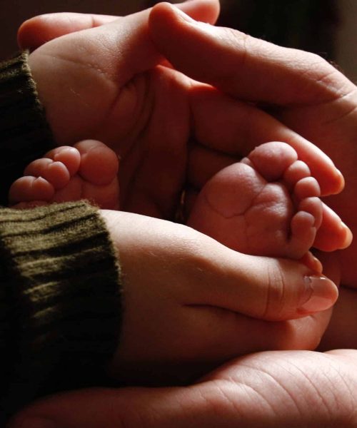 Close-up of baby feet held by adult hands, symbolizing family love and care.